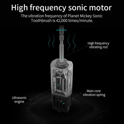 Rechargeable Ultrasonic Soft Bristle Electrical Toothbrushes Flosser 6 Gear With 4 Brushes