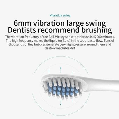 Rechargeable Ultrasonic Soft Bristle Electrical Toothbrushes Flosser 6 Gear With 4 Brushes