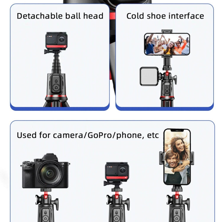 Octopus Tripod Mobile Phone Camera Portable Handheld Photo Bracket, C03 Telescopic Pole With Remote, C02