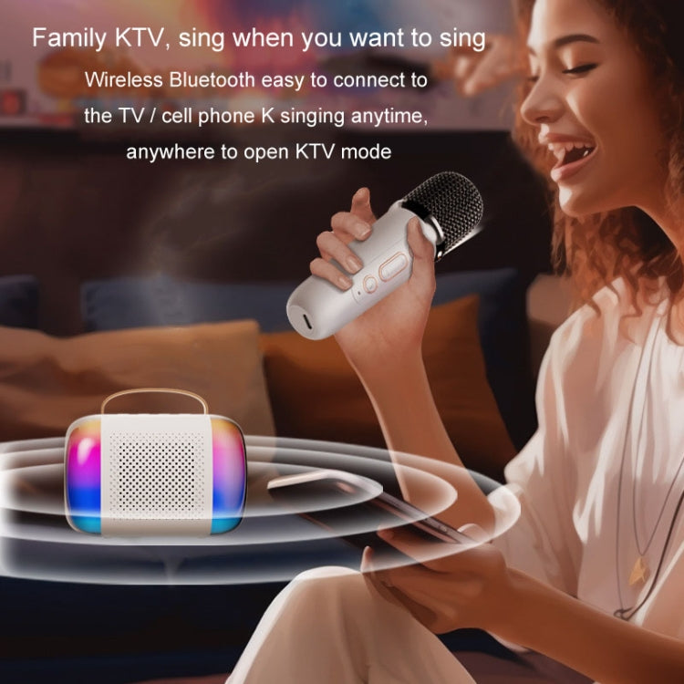 Portable Bluetooth Speaker Home And Outdoor Wireless Karaoke Audio, Y5 1 Microphone, Y5 2 Microphone