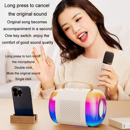 Portable Bluetooth Speaker Home And Outdoor Wireless Karaoke Audio, Y5 1 Microphone, Y5 2 Microphone