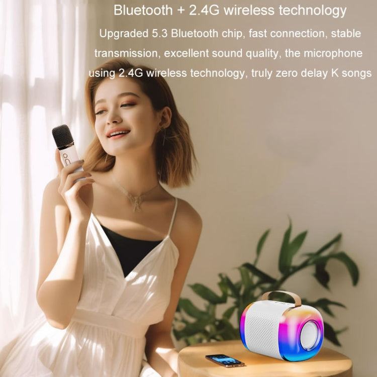 Portable Bluetooth Speaker Home And Outdoor Wireless Karaoke Audio, Y5 1 Microphone, Y5 2 Microphone