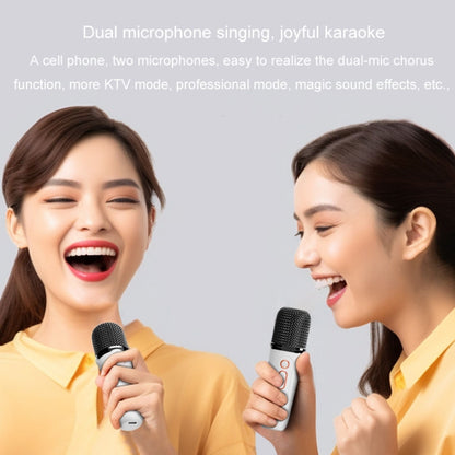 Portable Bluetooth Speaker Home And Outdoor Wireless Karaoke Audio, Y5 1 Microphone, Y5 2 Microphone