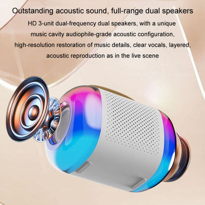 Portable Bluetooth Speaker Home And Outdoor Wireless Karaoke Audio, Y5 1 Microphone, Y5 2 Microphone