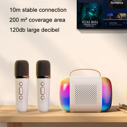 Portable Bluetooth Speaker Home And Outdoor Wireless Karaoke Audio, Y5 1 Microphone, Y5 2 Microphone