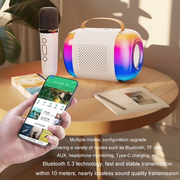 Portable Bluetooth Speaker Home And Outdoor Wireless Karaoke Audio, Y5 1 Microphone, Y5 2 Microphone