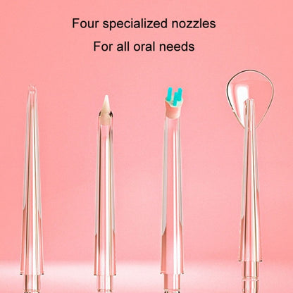 Oral Irrigator Accessories Home Oral Cleaning Teeth Cleaner Nozzle, Standard Nozzle, Dental Plaque Nozzle, Orthodontic Nozzle, Tongue Cleaning Nozzle