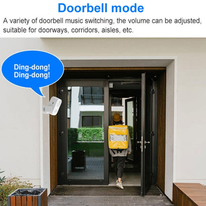 Intelligent Infrared Sensor Recordable Doorbell Welcome Voice Prompt Loudspeaker, N911P