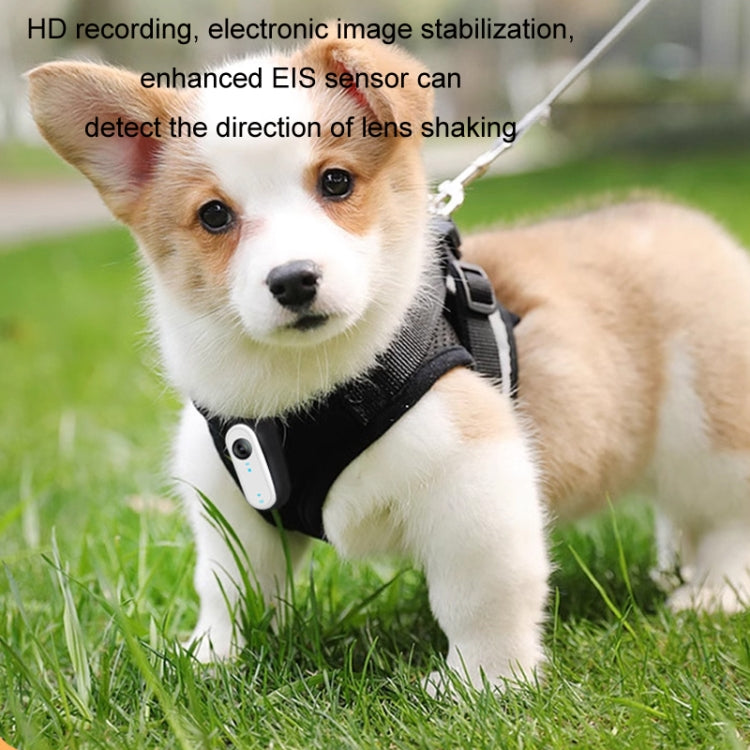 HD Outdoor Portable Pet Recorder Cycling Sports Camera, No TF Card, With 32G TF Card, With 64G TF Card, With 128G TF Card, With Silicone Collar, With Silicone Collar+32G TF Card