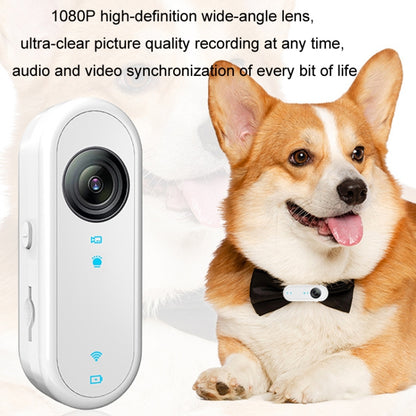 HD Outdoor Portable Pet Recorder Cycling Sports Camera, No TF Card, With 32G TF Card, With 64G TF Card, With 128G TF Card, With Silicone Collar, With Silicone Collar+32G TF Card